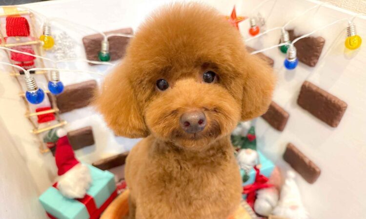 富加水 トモミさんの写真